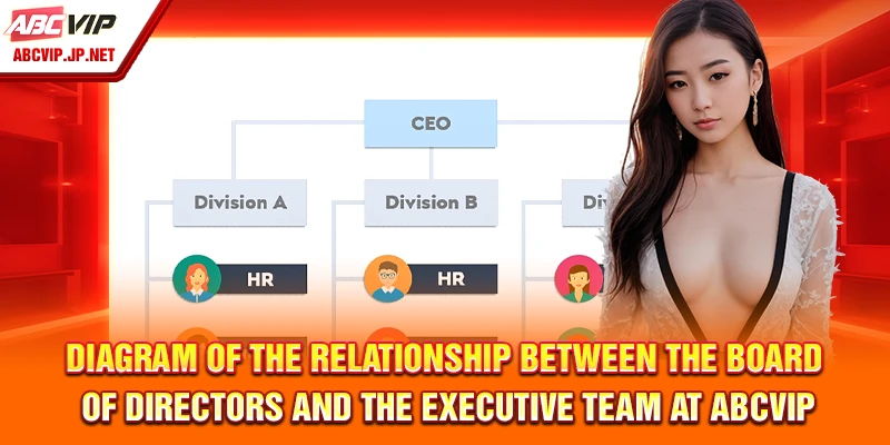 Diagram of the Relationship Between the Board of Directors and the Executive Team at ABCVIP